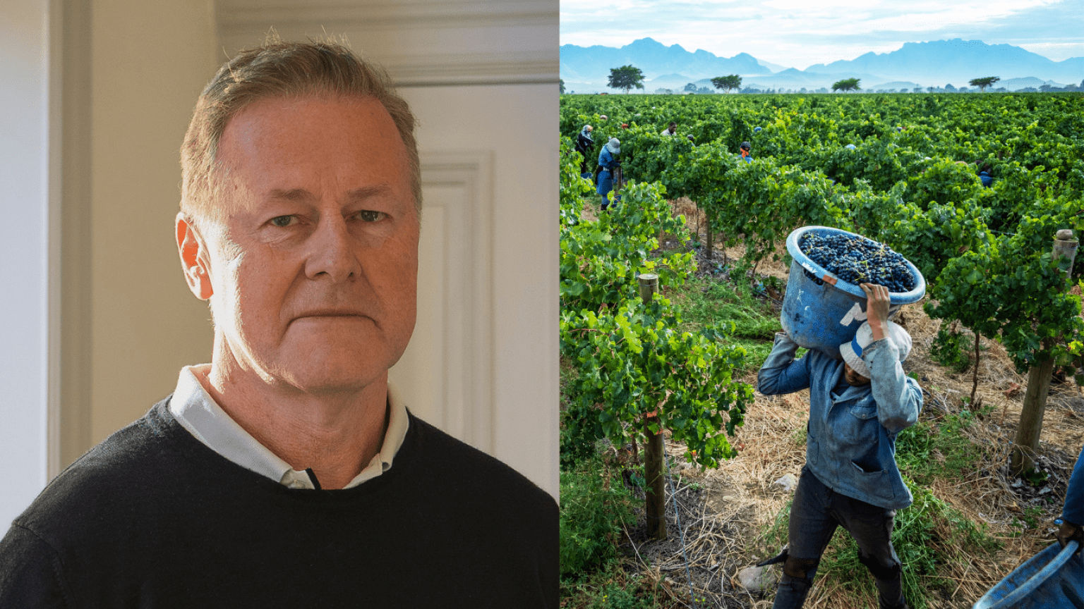 Lennart Reinius och vinarbetare i Sydafrika